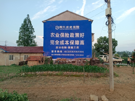 绍兴墙体广告为何受追捧？