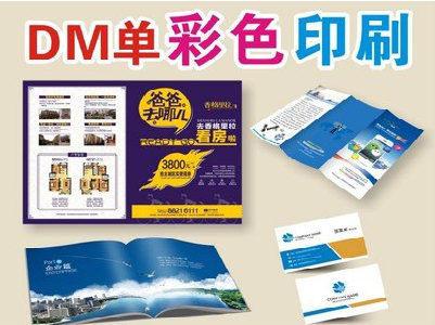 绍兴单页印刷，色彩搭配简单。